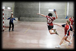 Torneo Metropolitano 2009
