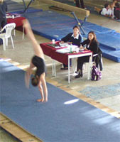 Gimnasia Artstica Femenina - Campeonato Metropolitano 1 Selectivo 2006 -  Suelo