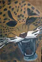 Haga click para ampliar