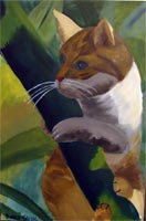 Haga click para ampliar