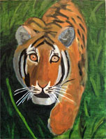 Hacer click para ampliar