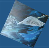 Hacer click para ampliar